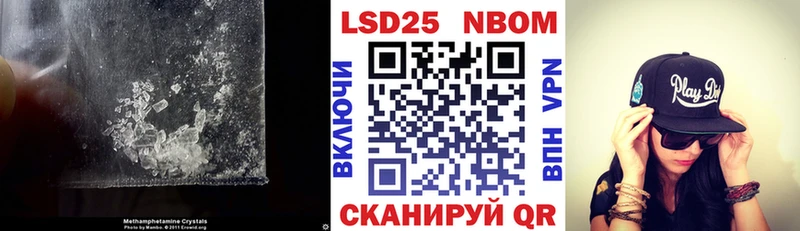 даркнет сайт  Каргополь  Лсд 25 экстази ecstasy 