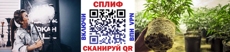 МАРИХУАНА план  Каргополь 